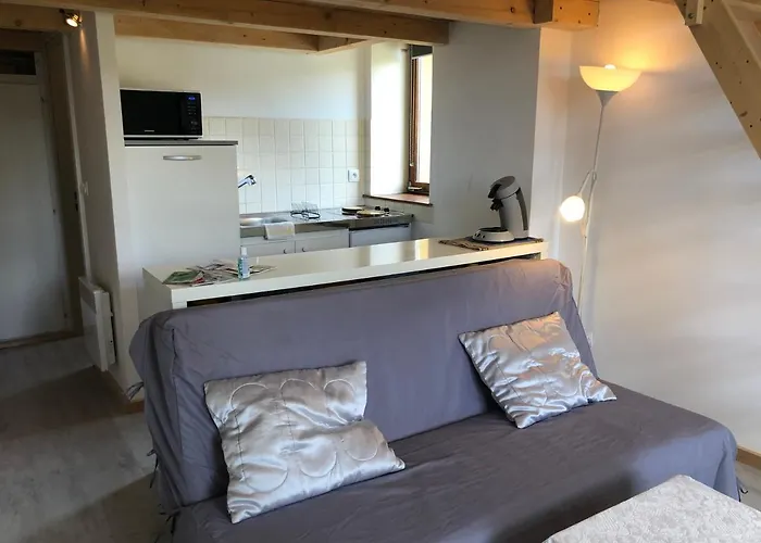 Charming Vosges Loft - Family-owned Mountain Haven アパート *